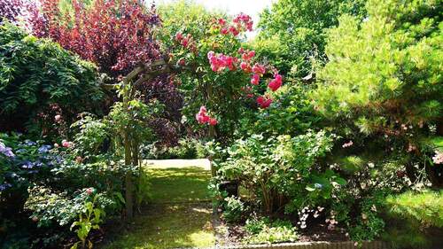 ...auf wundervoll eingewachsenem Grundstück - 4 Zimmer Einfamilienhaus in Hoisdorf