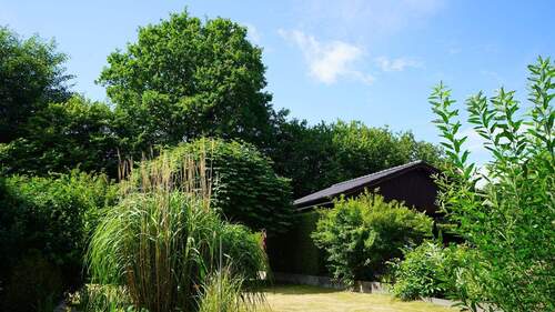 ...denn er ist groß und wundervoll eingewachsen - 