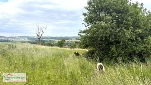 Grundstück - EBENES GRUNDSTÜCK MIT TOLLER FERNSICHT U. PLÄNEN FÜR EIN ARCHITEKTENHAUS!