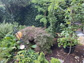 Bild 25 - 