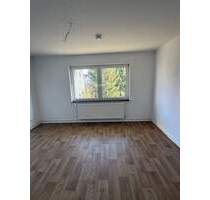 DEIN NEUES ZUHAUSE IM ERDGESCHOSS - Nette Nachmieter gesucht - Langelsheim