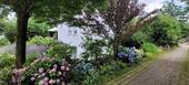 Blühender Garten - 