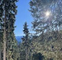 Bergwald mit sehr gutem Baumbestand - Ohlstadt