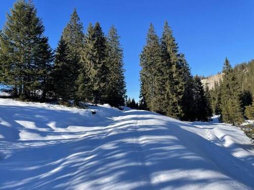  Idylle und Ruhe - Grundstück in Ohlstadt