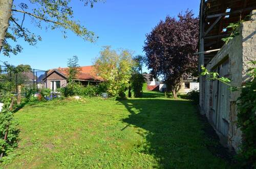 Blick in den Garten - 
