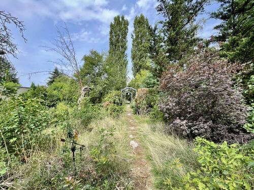 Blick zur Straße - Grundstück zum Kaufen in Berlin / Kaulsdorf-Süd