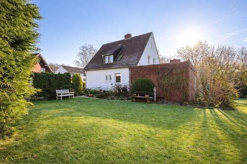 Selbst im Winter ist der Garten schön grün - 