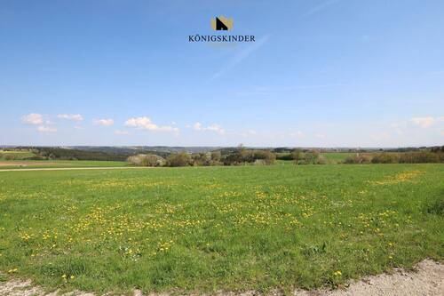 erholsamer Blick in die Weite - 