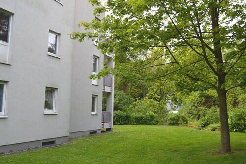Lindenallee 21 - Blick aus dem Garten mit altem Baumbestand auf Balkone, die zur Grünanlage ausgerichtet sind (Südseite) - 2 Zimmer Etagenwohnung in Baunatal