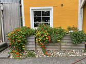 Bild 16 - 