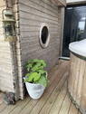Bild 17 - 