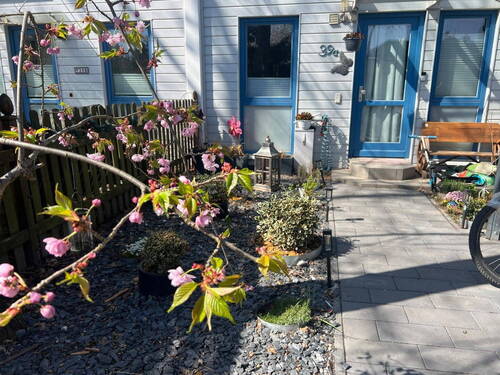 Bild 1 - Modernisiertes Reihenhaus mit Sonnenuntergangs-Balkonen, neuer Terrasse & Fernwärme in Falkensee