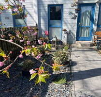 Modernisiertes Reihenhaus mit Sonnenuntergangs-Balkonen, neuer Terrasse & Fernwärme in Falkensee