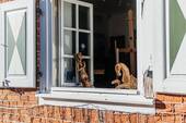 Charmantes Ladengeschäft im Holländerviertel - Büro in Potsdam