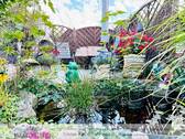 Freisitz Gartenteich - 