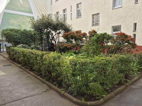 20250827_153215.jpg - 