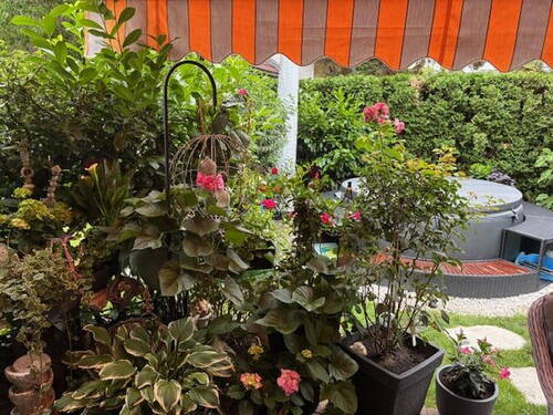 Blick ins Gartenparadies - 3 Zimmer Etagenwohnung zur Miete in Schwanstetten