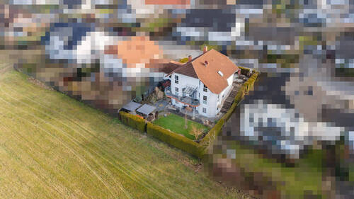 Blick in den Garten - 