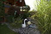 Gartenhaus mit Teich - 