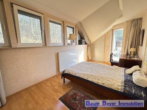 Gäste-/ Arbeitszimmer - 