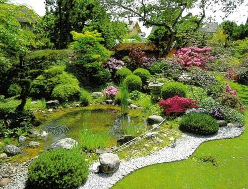 Teich - 