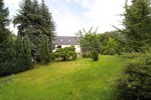 hinterer Gartenbereich - 