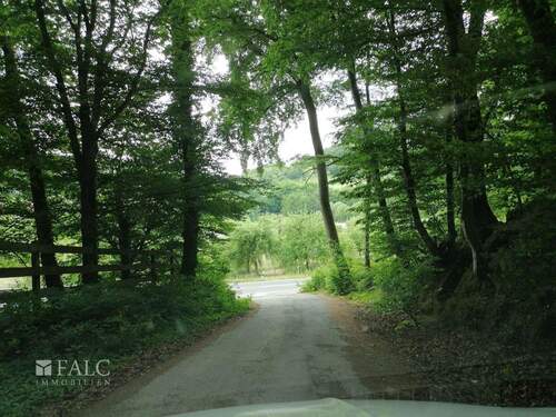  Ansicht Zufahrt - 6 Zimmer Einfamilienhaus zum Kaufen in Mömbris