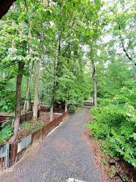  Ansicht Grundstück - Einfamilienhaus mit 165,00 m&sup2; in Mömbris zum Kaufen