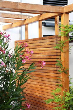 Garten: Sichtschutz /2022 - 