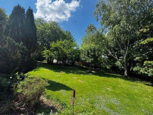 Grundstück - Einfamilienhaus mit 290,00 m² in Bermatingen zum Kaufen