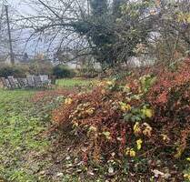 Schönes eingewachsenes Grundstück in guter Lage, Wohngebiet - Litzendorf / Schammelsdorf