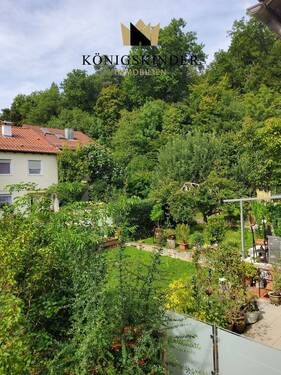Blick zum Waldrand - 