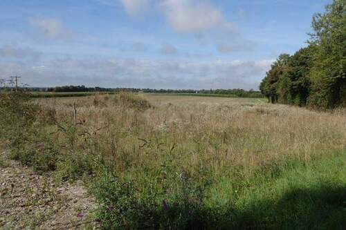 Ansicht.JPG - Grundstück mit genehmigten Plan für RH 3er und ein DH