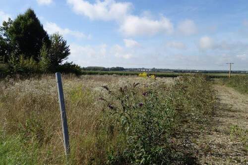 Lage.JPG - Grundstück in Steinach zum Kaufen