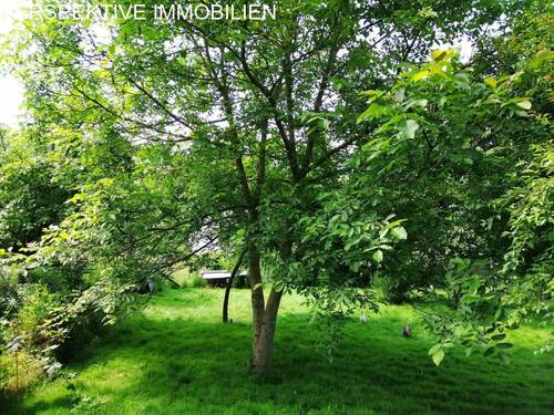 Bild 4 - Grundstück in Bad König zum Kaufen