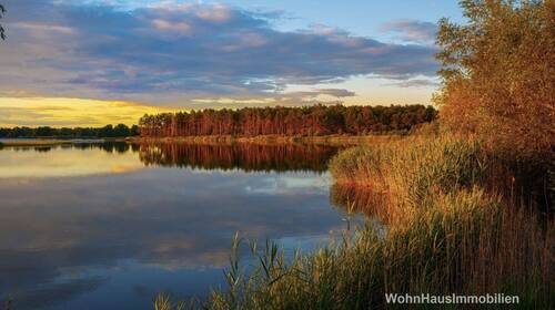 Wald, Wasser, Natur pur - Zerpenschleuse - Wald, Wasser - pure Natur!
