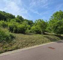 10 MIN. VON REMICH: 13 AR, 24 METER BREIT, SOFORT BEBAUBAR! - Kirf