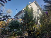Gartenansicht Süd - 6 Zimmer Einfamilienhaus zum Kaufen in Ostrach
