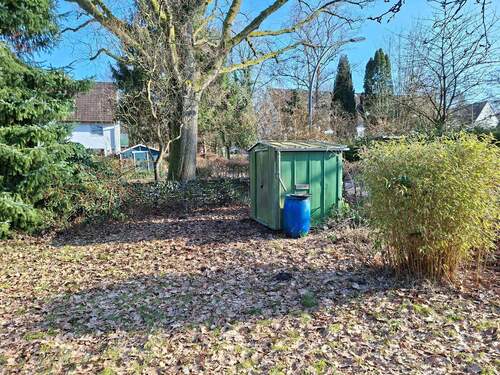 20260225_143140.jpg - 