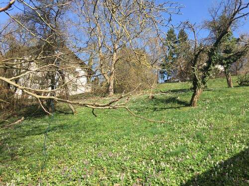 IMG_8644 - Grundstück zum Kaufen in Waldeck