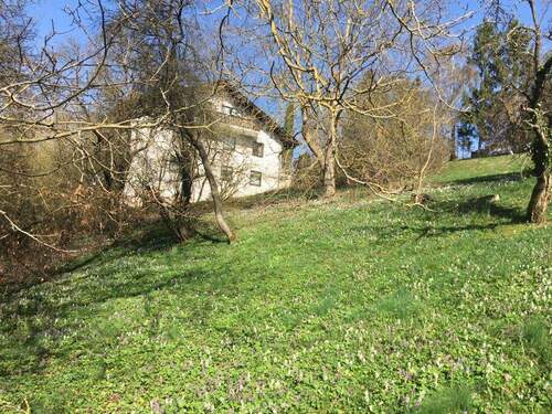 IMG_8645 - Grundstück in Waldeck