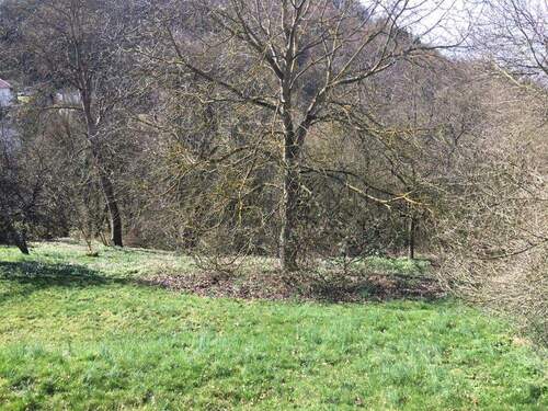 IMG_8647 - Grundstück in Waldeck zum Kaufen