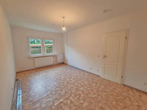 Glastür Wohnzimmer zum Flur - 
