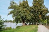 Rathauspark_Erkner - 