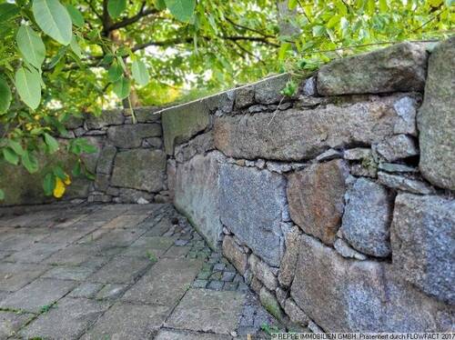 Detail Trockenmauer mit Nußbaum - 