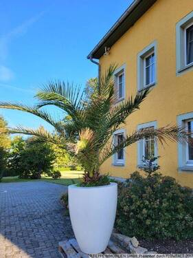 Hofsituation - 5 Zimmer Einfamilienhaus in Elstra