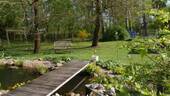 Teich - 