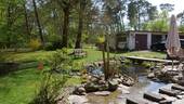 Teich - 