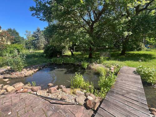 Teich - 