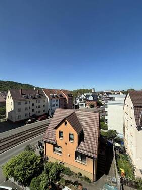 IMG 3944 - 